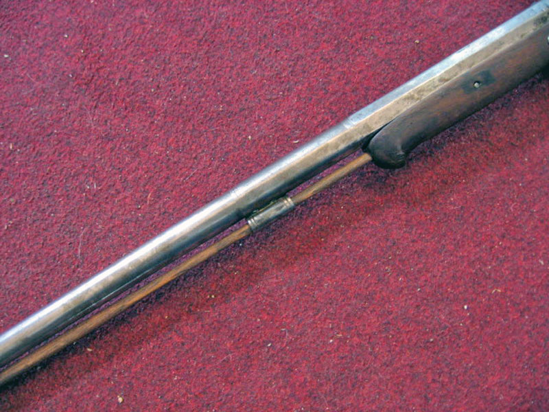 puskar_ignatius_hanl_04.jpg, 139kB